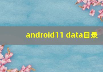 android11 data目录